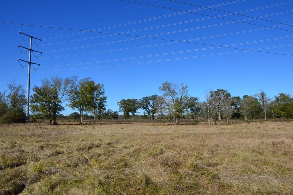 19097 County Road 124, Bedias, Texas image 44