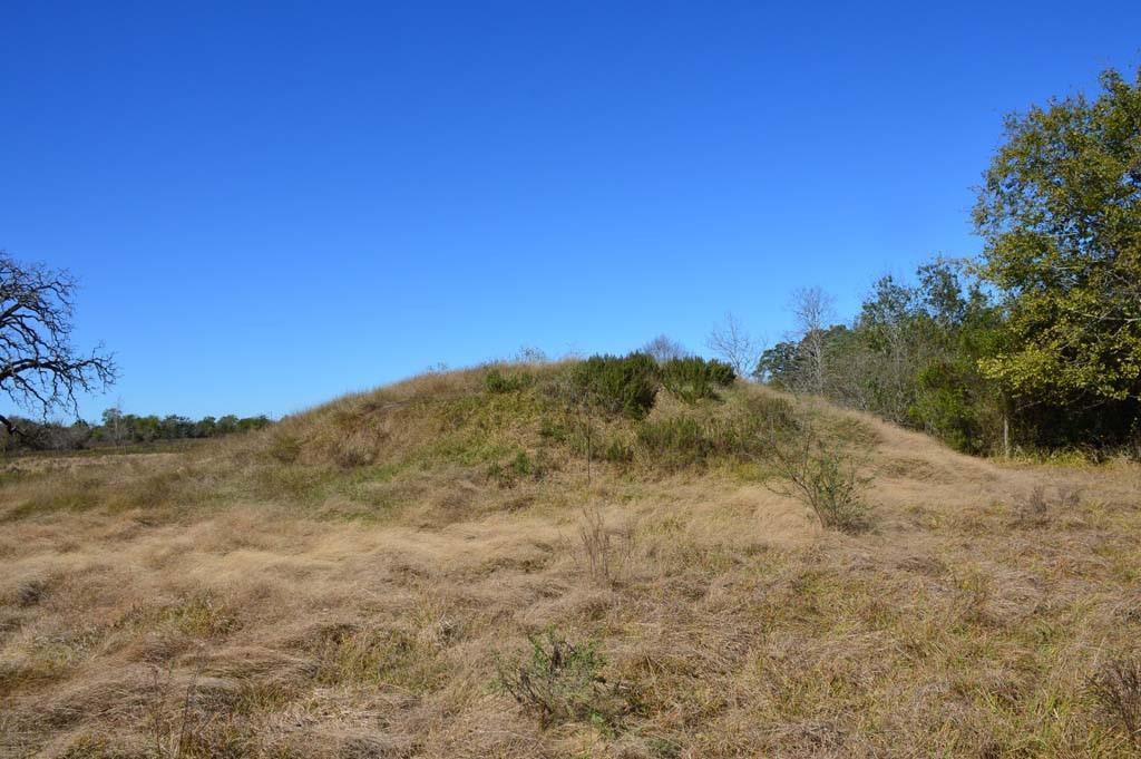 19097 County Road 124, Bedias, Texas image 49