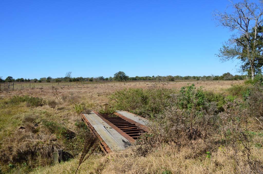 19097 County Road 124, Bedias, Texas image 31