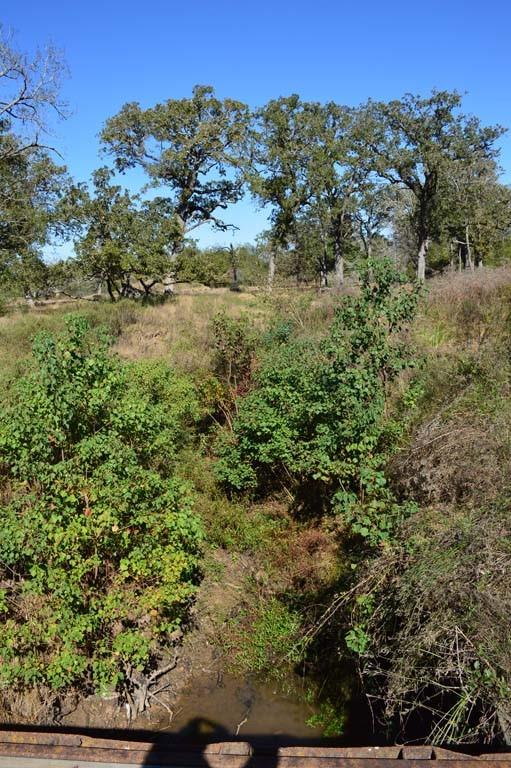 19097 County Road 124, Bedias, Texas image 32