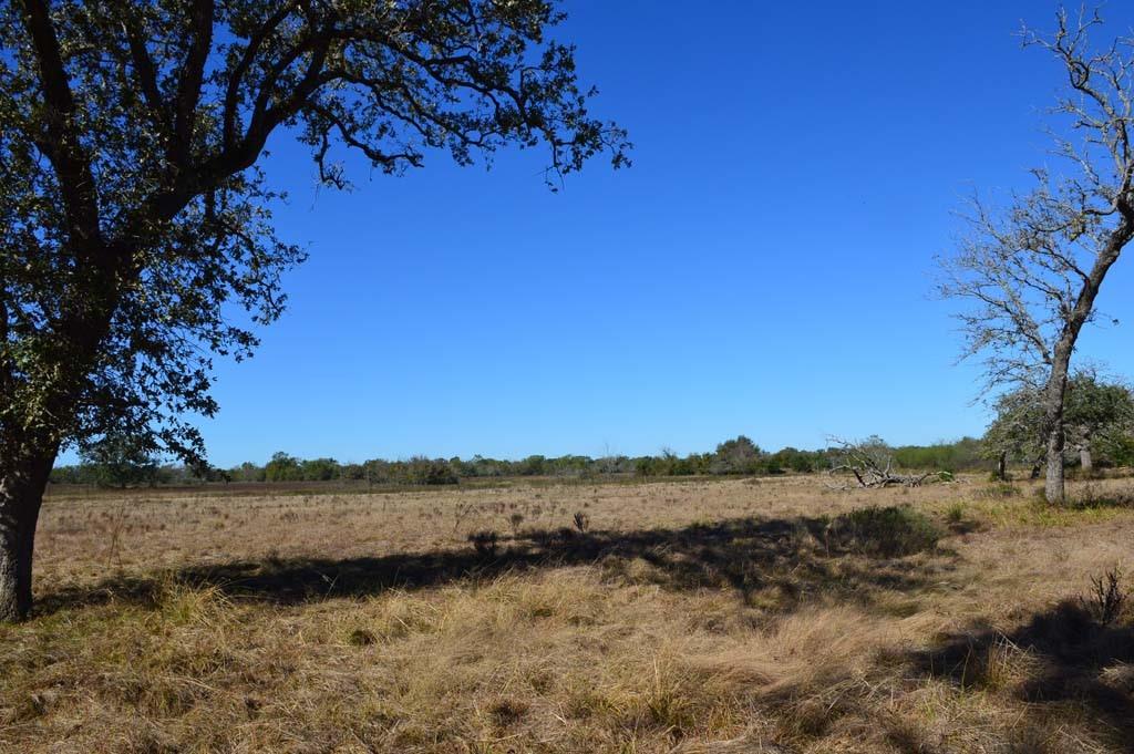 19097 County Road 124, Bedias, Texas image 47