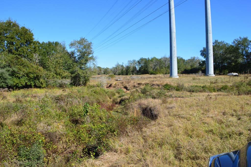 19097 County Road 124, Bedias, Texas image 37