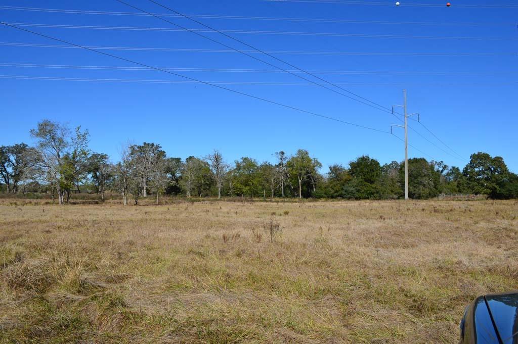 19097 County Road 124, Bedias, Texas image 46