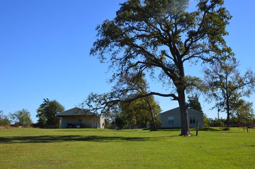 19097 County Road 124, Bedias, Texas image 27