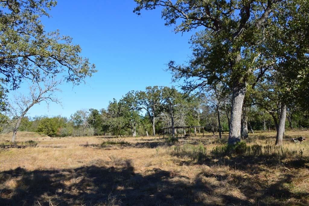 19097 County Road 124, Bedias, Texas image 45