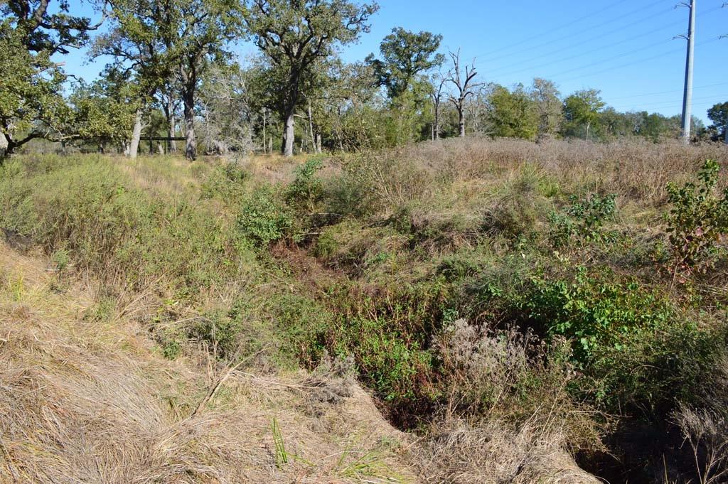 19097 County Road 124, Bedias, Texas image 36