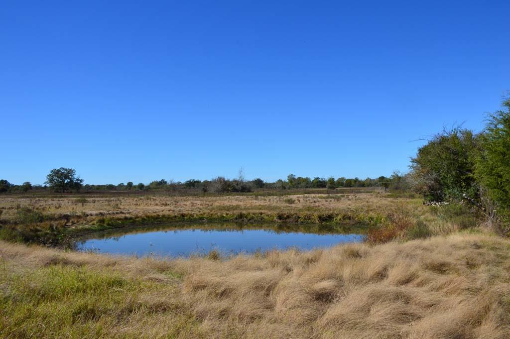 19097 County Road 124, Bedias, Texas image 34