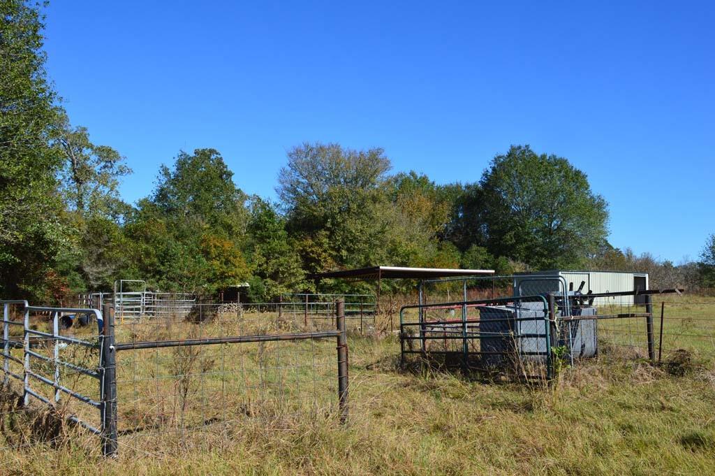 19097 County Road 124, Bedias, Texas image 39