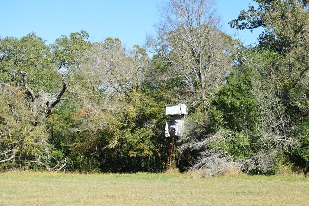 19097 County Road 124, Bedias, Texas image 38