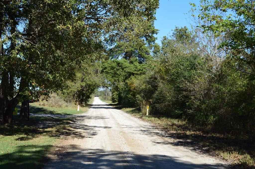 19097 County Road 124, Bedias, Texas image 50