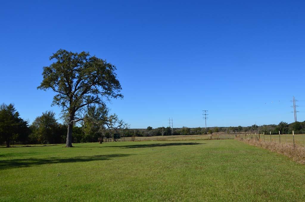 19097 County Road 124, Bedias, Texas image 14