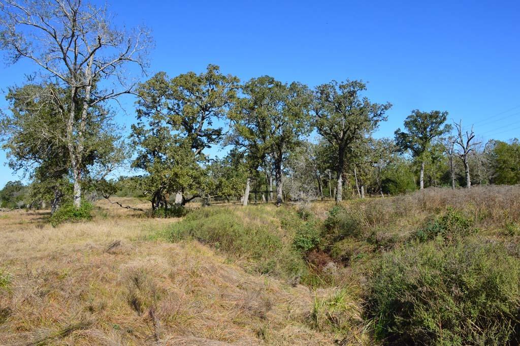 19097 County Road 124, Bedias, Texas image 35