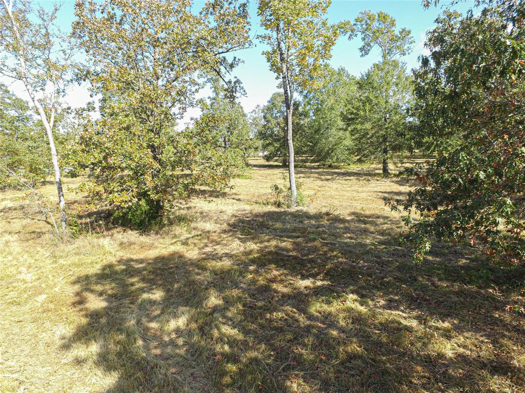 195 Fm 3277, Livingston, Texas image 39