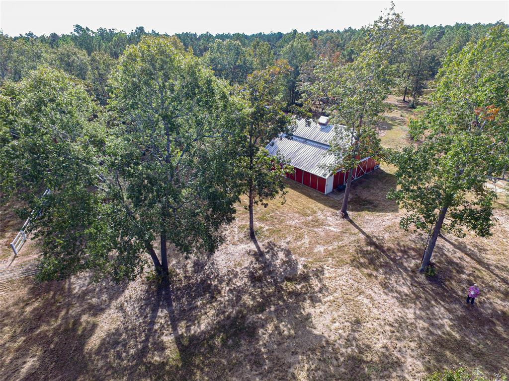 195 Fm 3277, Livingston, Texas image 40