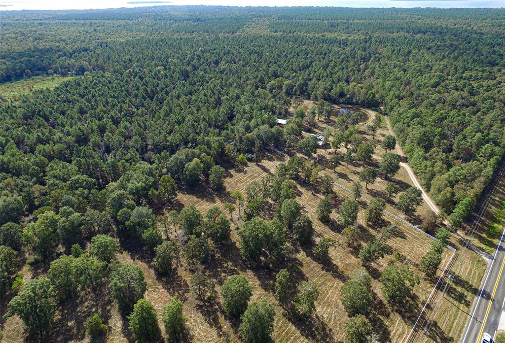 195 Fm 3277, Livingston, Texas image 9