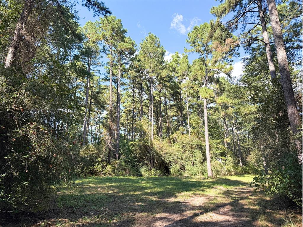 3 Notch Road, Huntsville, Texas image 11