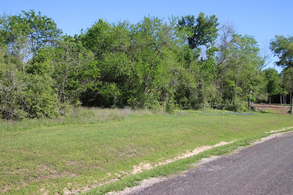 00 Wooded Reserve Court, Washington, Texas image 2