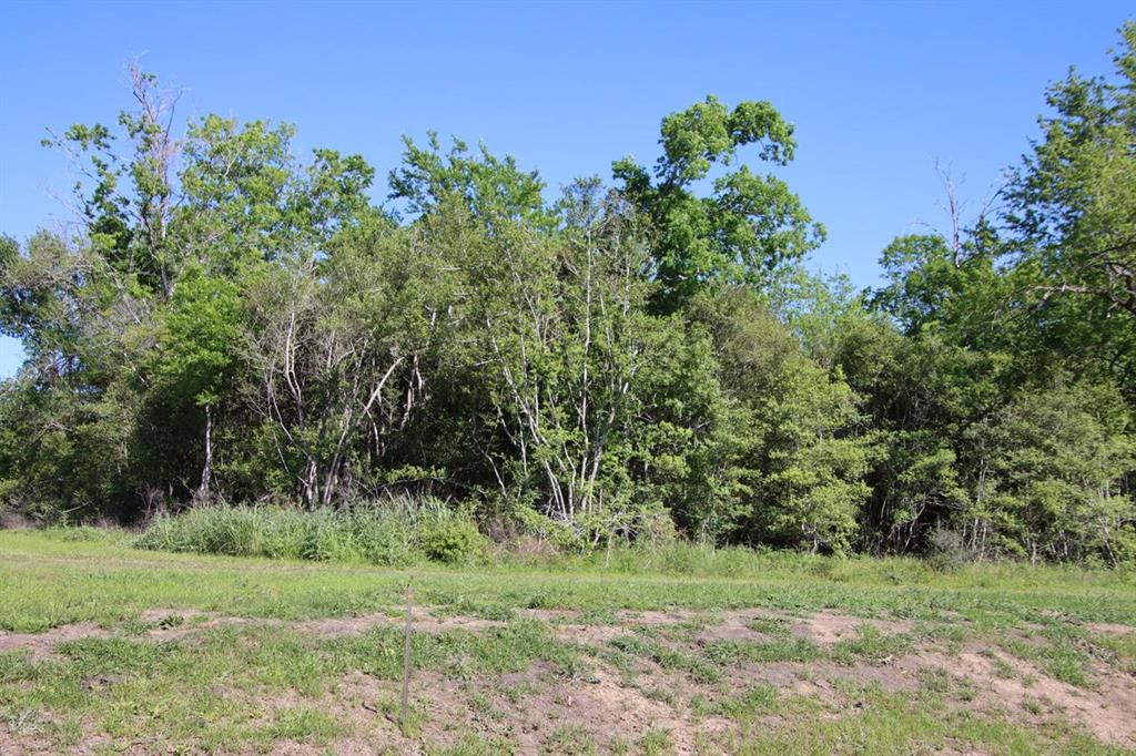 00 Wooded Reserve Court, Washington, Texas image 8