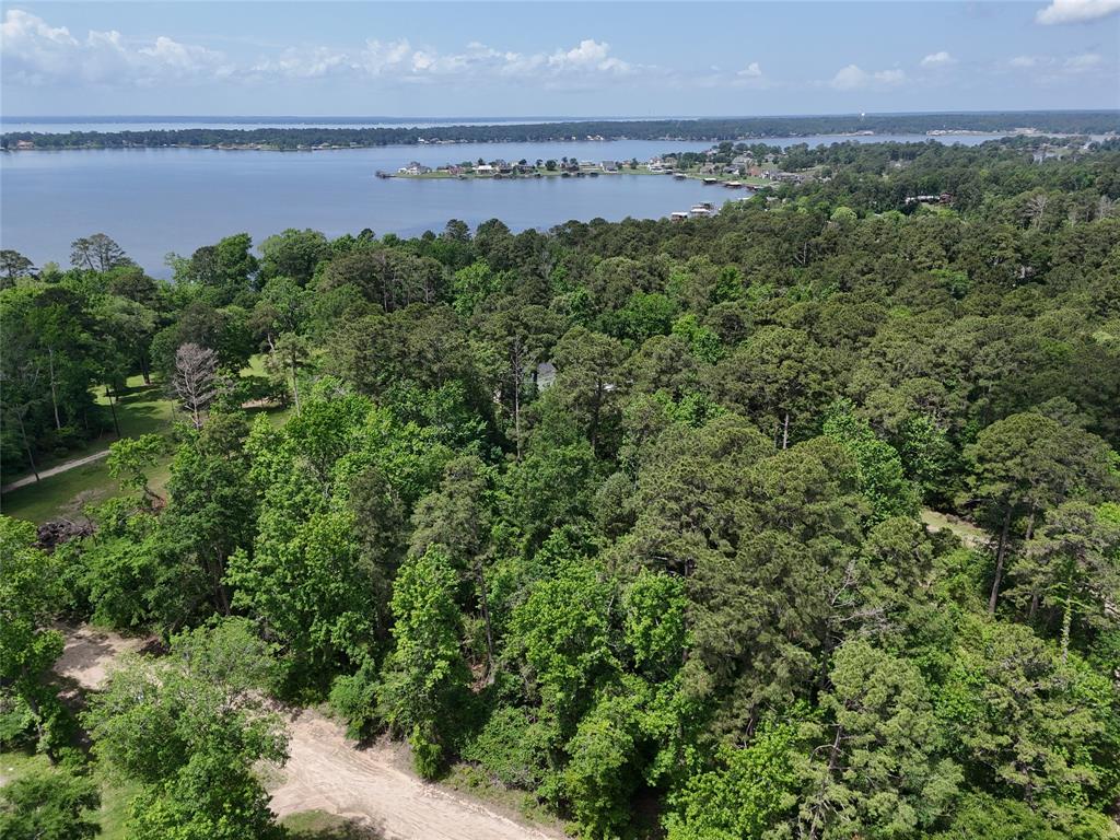 TBD Lake Forest Drive, Livingston, Texas image 10