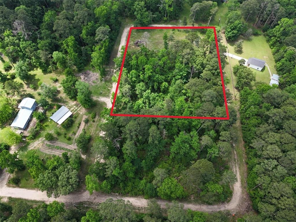 TBD Lake Forest Drive, Livingston, Texas image 3