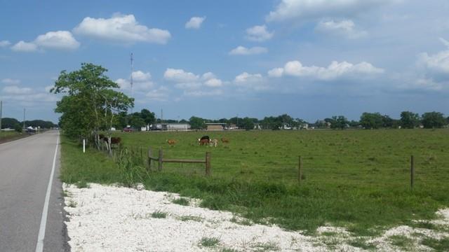 11.89 County Road 341, Angleton, Texas image 8