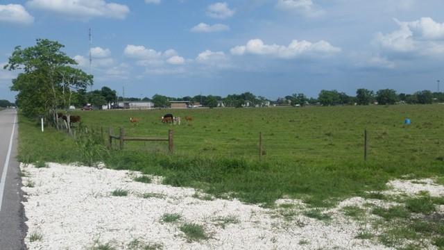11.89 County Road 341, Angleton, Texas image 9