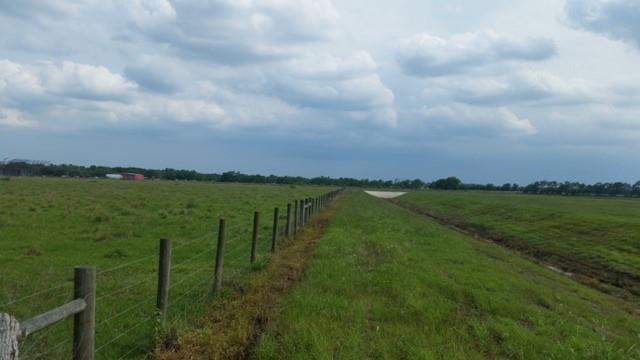 11.89 County Road 341, Angleton, Texas image 15