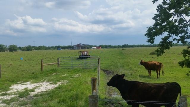 11.89 County Road 341, Angleton, Texas image 6