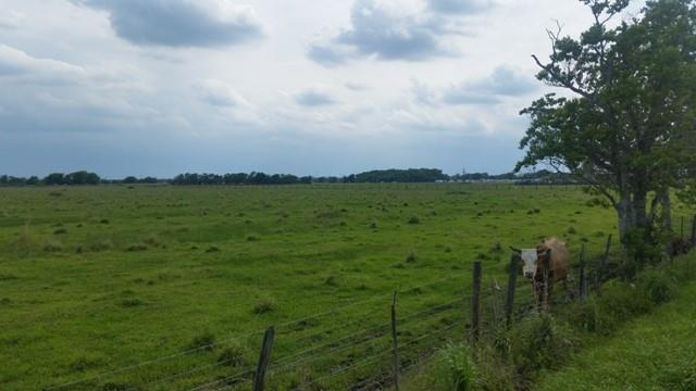 11.89 County Road 341, Angleton, Texas image 3