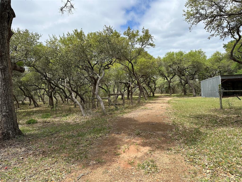 1203 Highway 90a, Sheridan, Texas image 1
