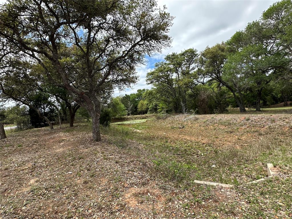 1203 Highway 90a, Sheridan, Texas image 8