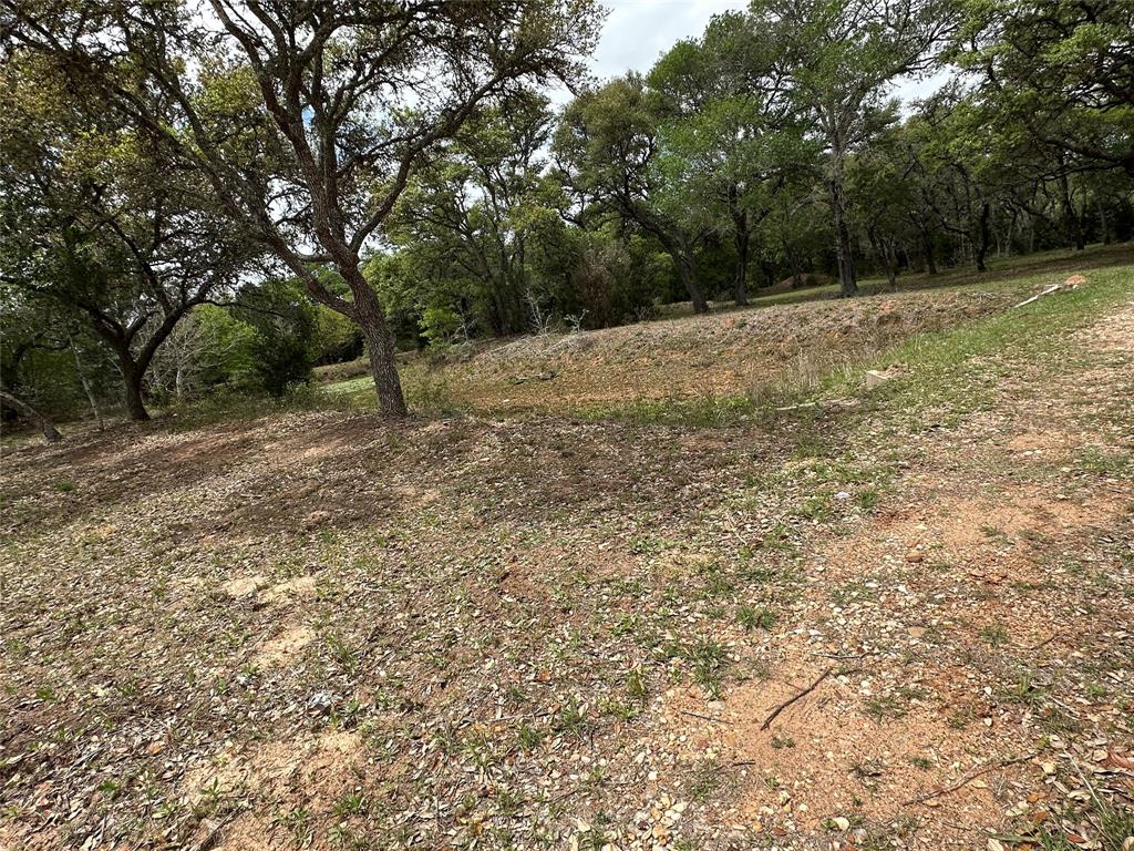 1203 Highway 90a, Sheridan, Texas image 3