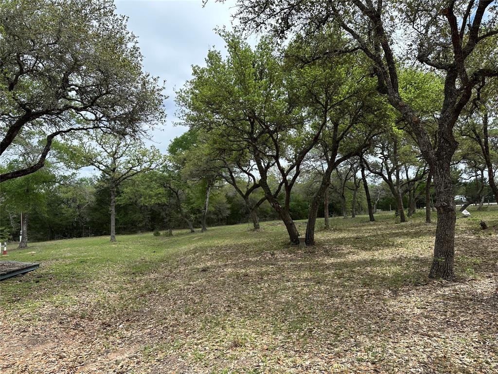 1203 Highway 90a, Sheridan, Texas image 2
