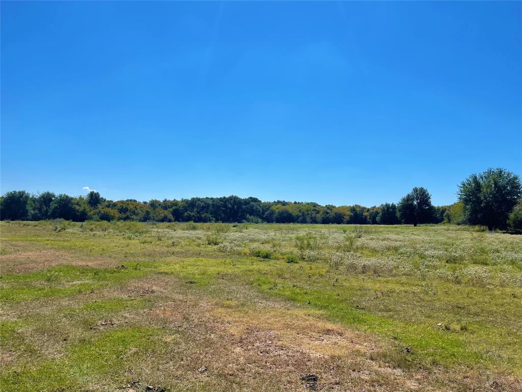 TBD County Road 971, Mexia, Texas image 11