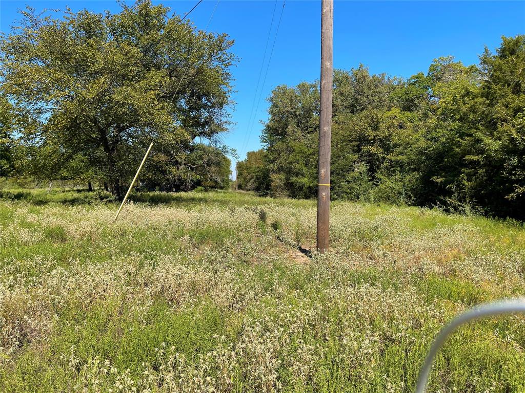 TBD County Road 971, Mexia, Texas image 22