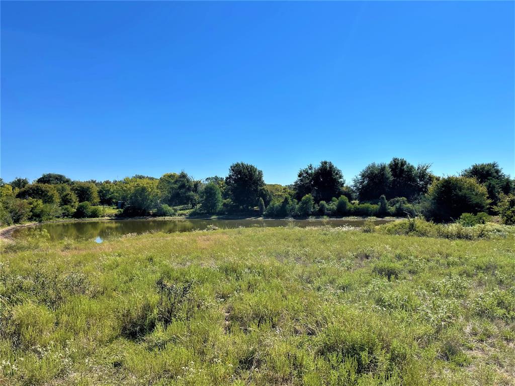 TBD County Road 971, Mexia, Texas image 17