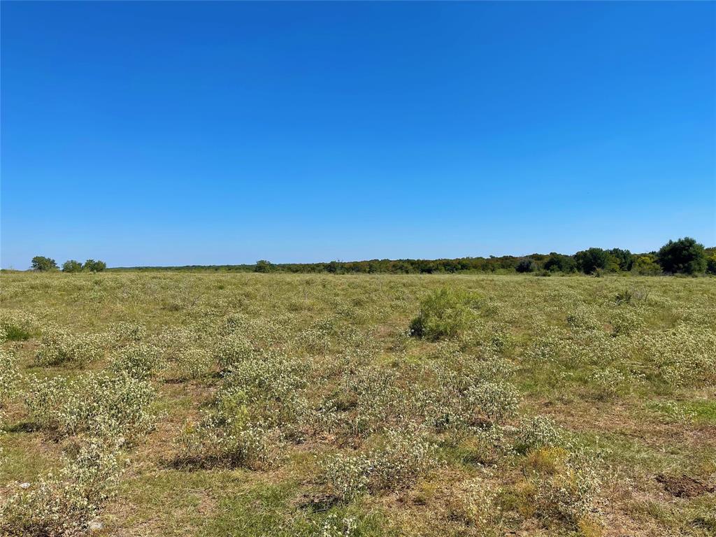 TBD County Road 971, Mexia, Texas image 15