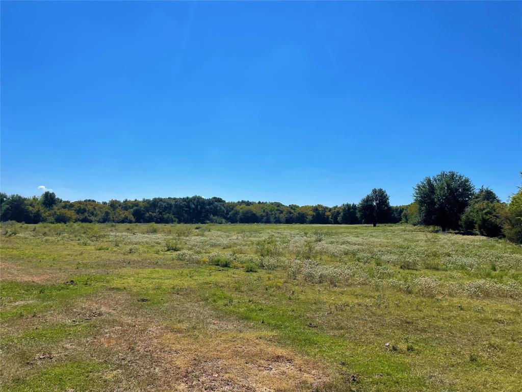 TBD County Road 971, Mexia, Texas image 5