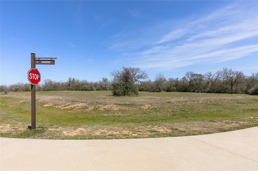 401 Silverton Circle, Hempstead, Texas image 6