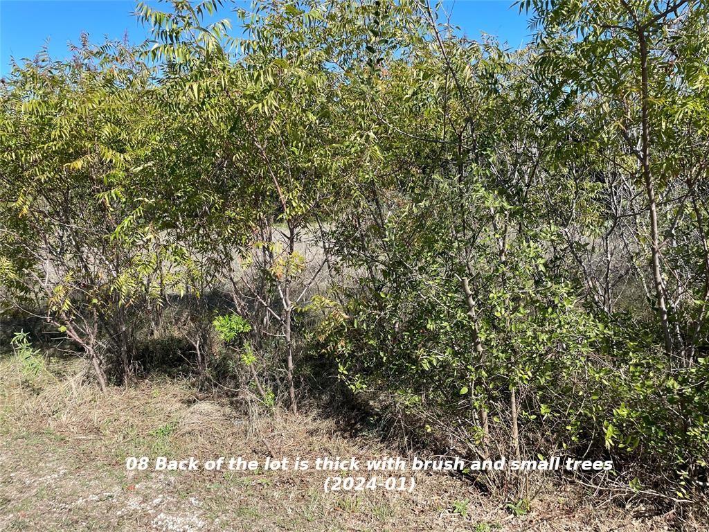 Lot 52 Montana Springs Cove, Marble Falls, Texas image 8