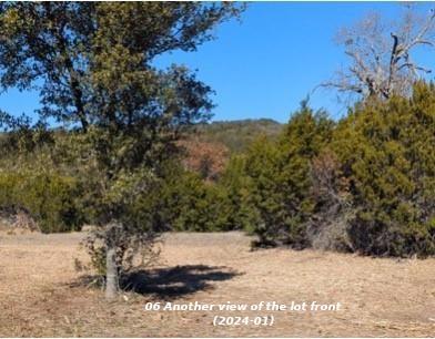 Lot 52 Montana Springs Cove, Marble Falls, Texas image 6