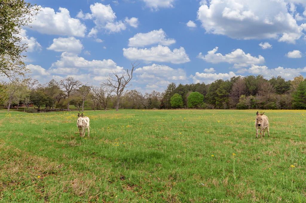 40309 Heise Road, Hempstead, Texas image 30