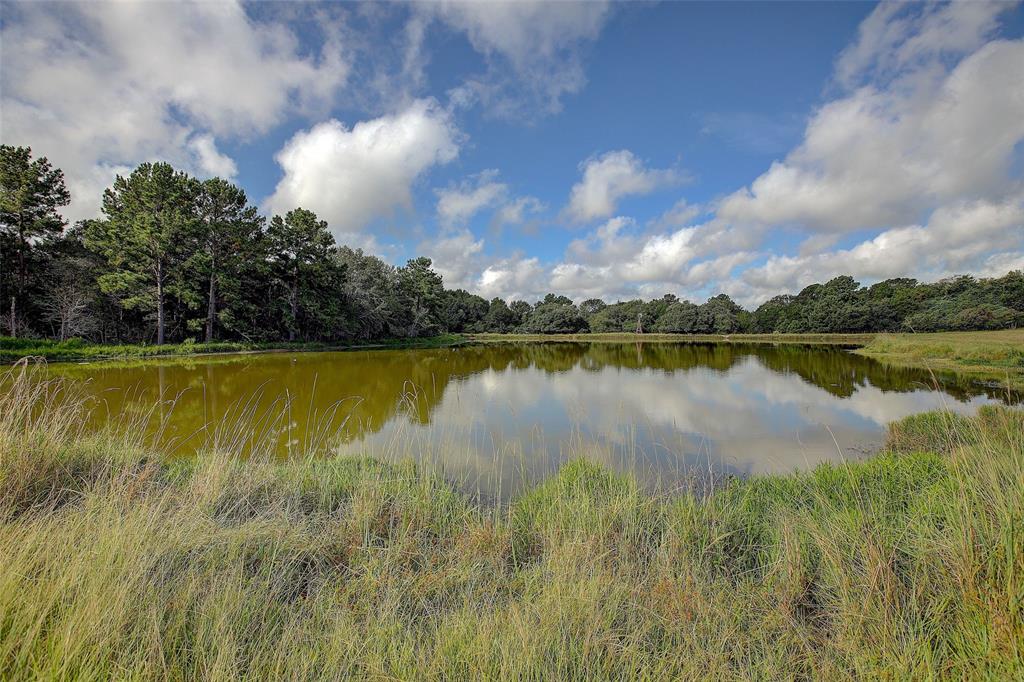 1024 Weishuhn Road, New Ulm, Texas image 25