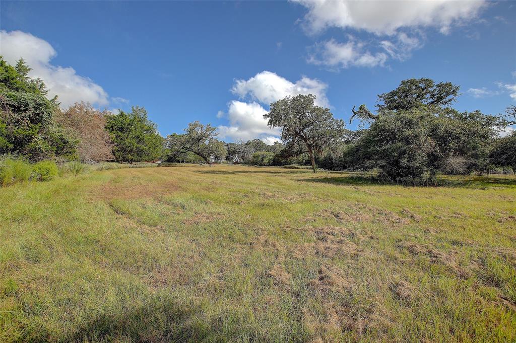 1024 Weishuhn Road, New Ulm, Texas image 8