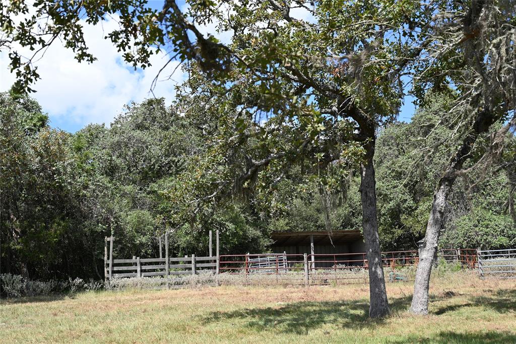 1024 Weishuhn Road, New Ulm, Texas image 36