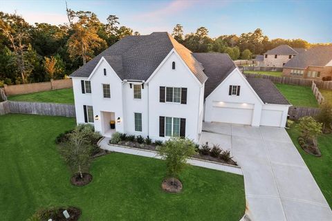 4803 Laguna Verde Court Spring TX 77389
