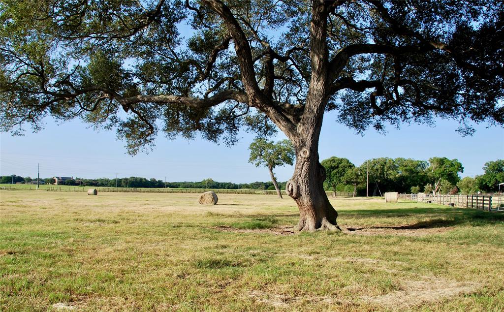 66 County Road 77d, Schulenburg, Texas image 3