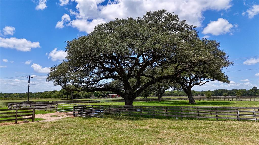 66 County Road 77d, Schulenburg, Texas image 2