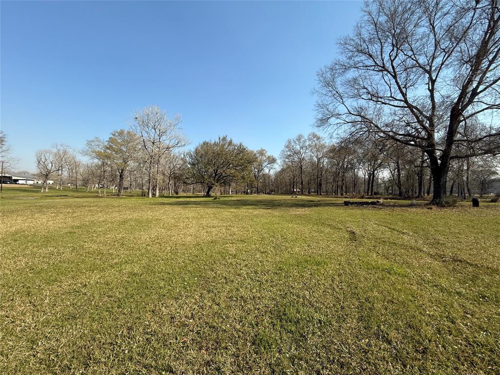 TBD County Road 2094 11a, Liberty, Texas image 3