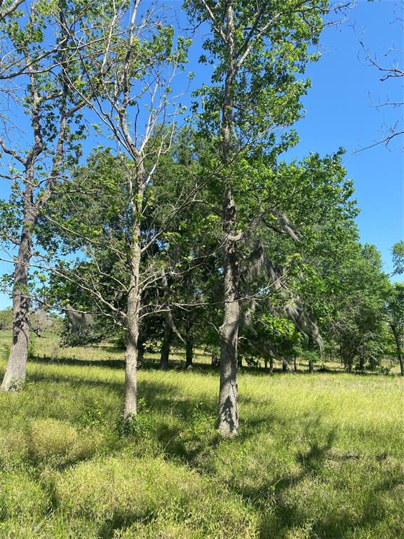 TBD County Road 2094 11a, Liberty, Texas image 5